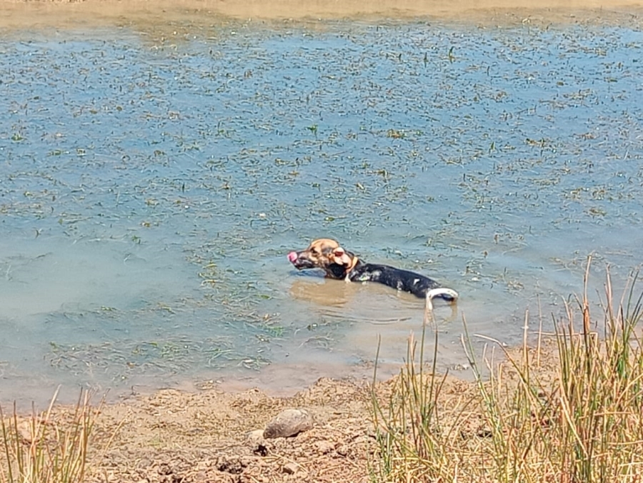 Commercial Property for Sale in Humansdorp Rural Eastern Cape